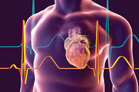 Medicine & Cardiology